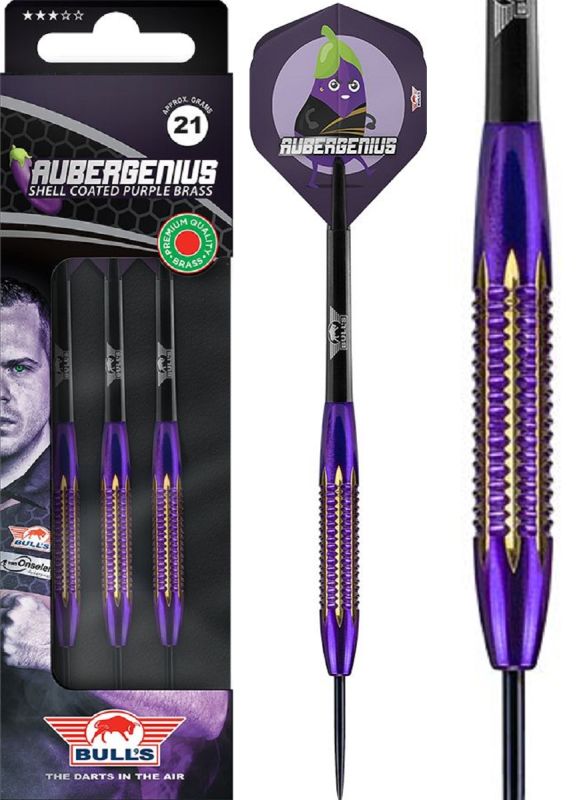 Bull's Dirk van Duijvenbode Aubergenius Brass Steeldarts 21 Gramm Steel Dart Pfeile
