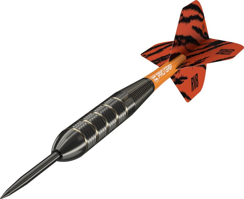 Target Brass Raymond van Barneveld Steeldarts 2023 22 Gramm Steeldarts