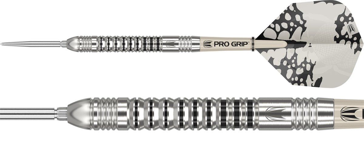 Steeldarts